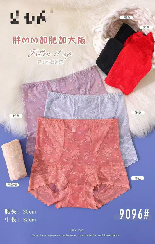 High‑Waist Floral Lace Briefs (Curvy Fit)