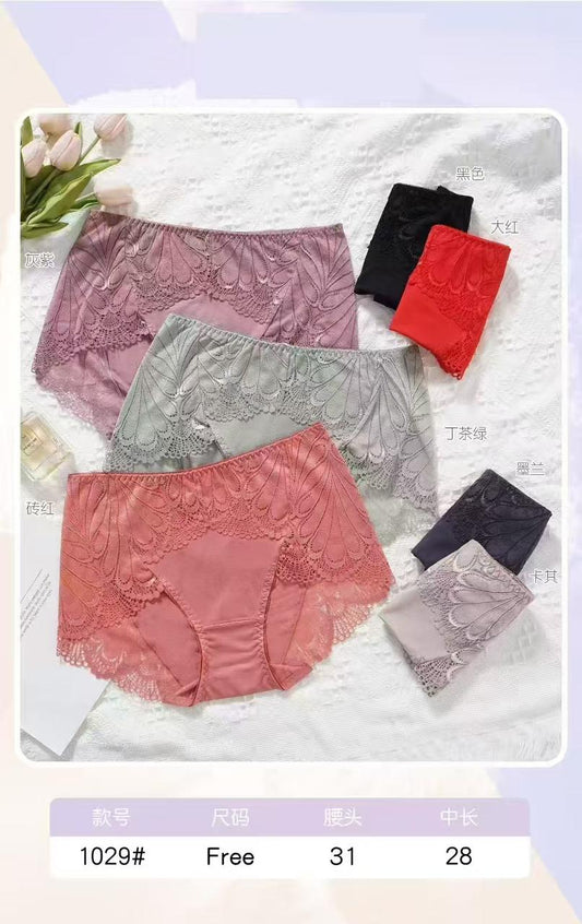 Elegant Lace Comfort Briefs | Mid-Rise Everyday Underwear (One Size)