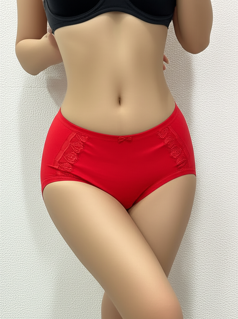 Everyday Lace High‑Waist Briefs – Assorted Colors