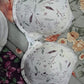 Botanical Lace Contour Bra – White/Sage